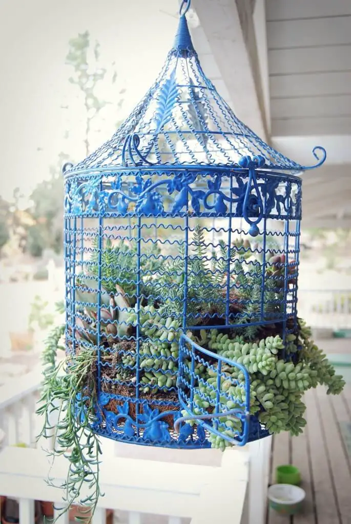 Hanging Bird Cage