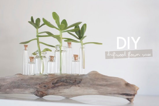 The driftwood flower vase