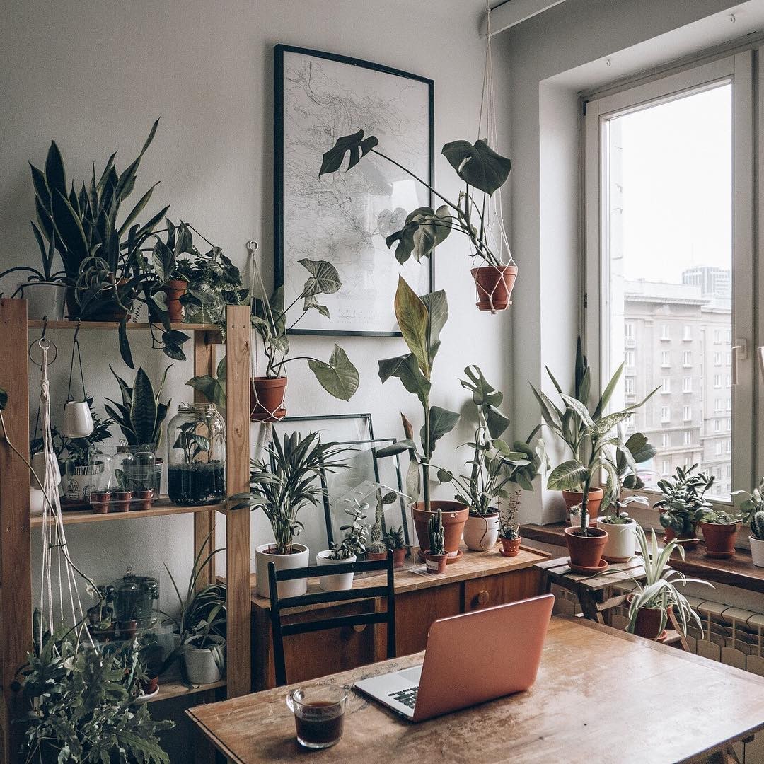 The ideal place for those who love plants