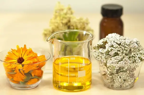 Uses of marigold