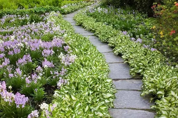 Pathways or Stone Walls under Light Shade: Mid-to Late Spring (May to Early June)