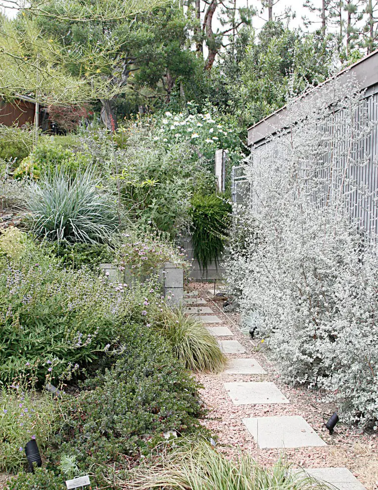 Native Plant Gardens