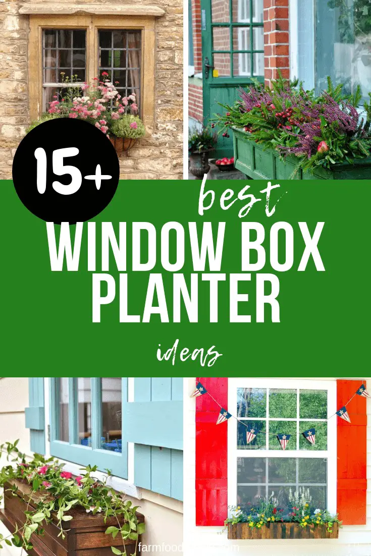 15+ Best Window Box Planter Ideas