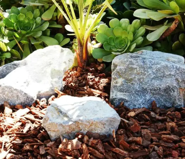 17 Types Of Landscaping Rocks: What Works Best For Your Garden