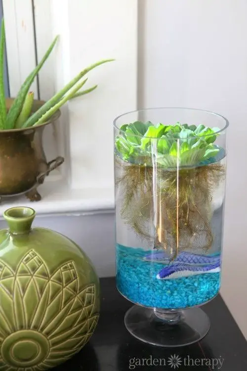 #11. Indoor water garden