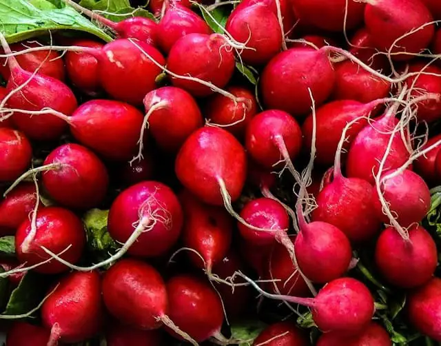 Radishes: The Peppery Crunch