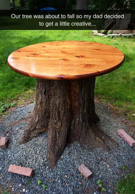 Very impressive dad – Tree Stump Outdoor Table