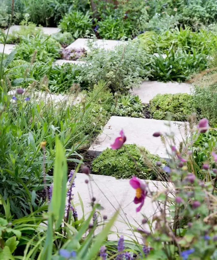 Between the pavers, there is some greenery.