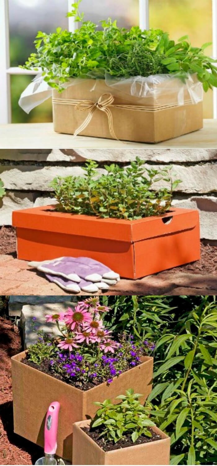 Cardboard Gardening