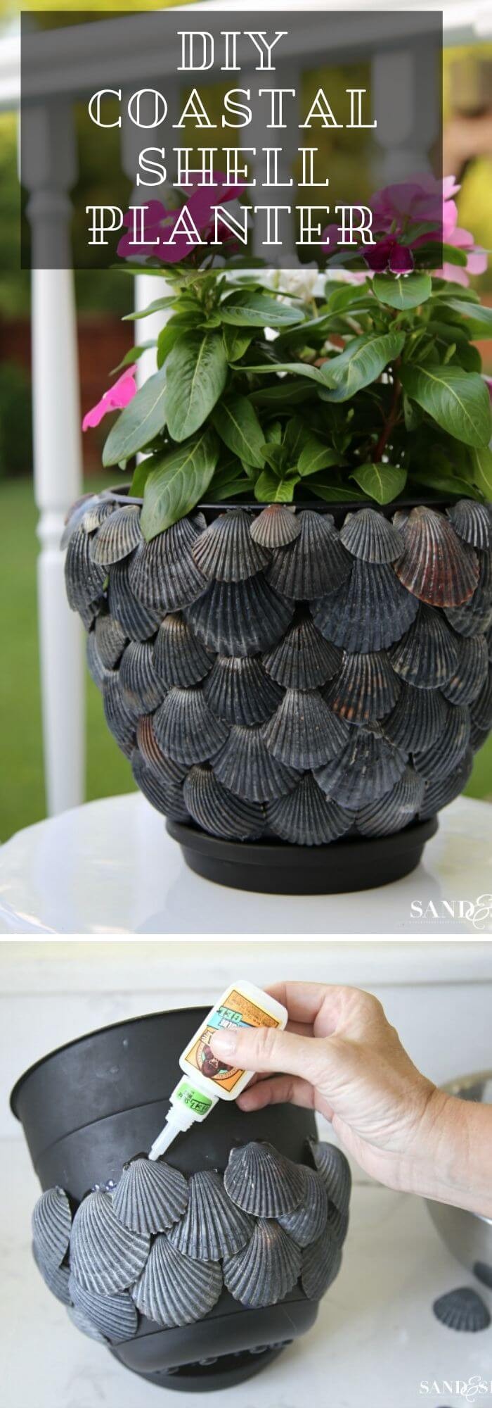 Decorate Your Planter With Shells