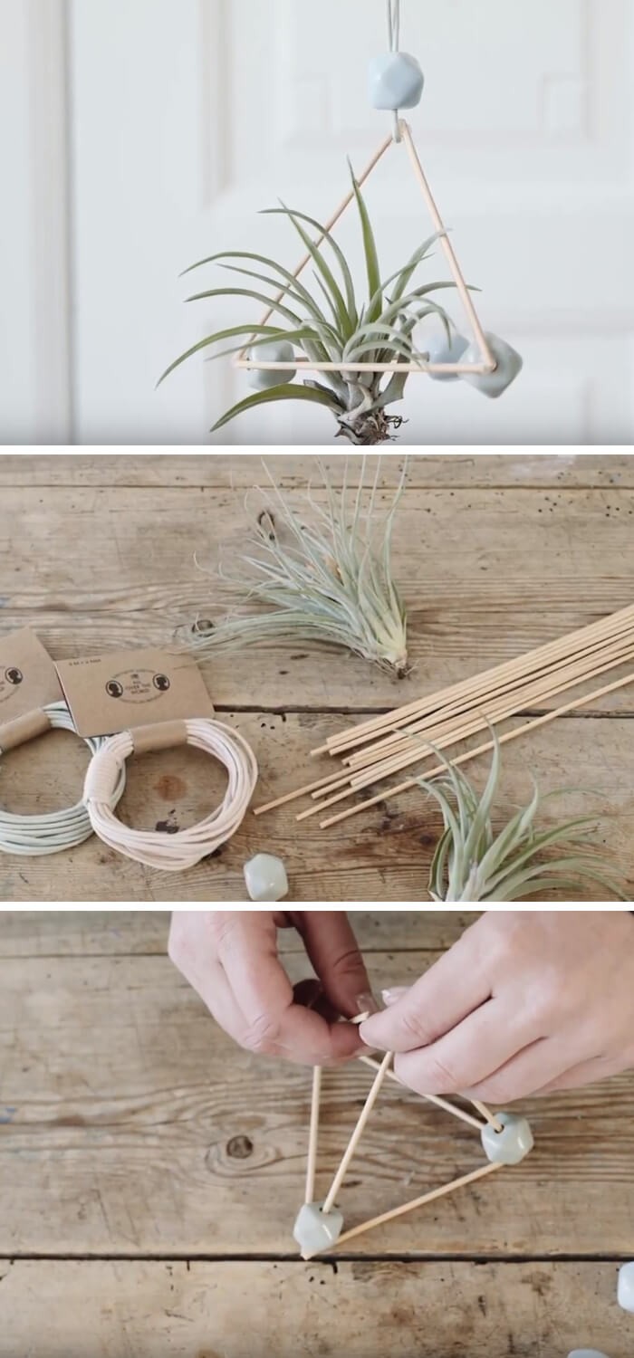 DIY air plant ornaments