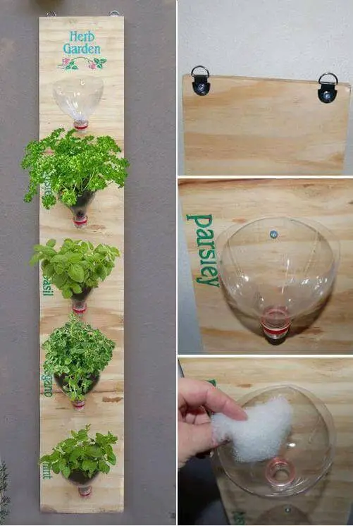 Plastic Bottle Herb Garden