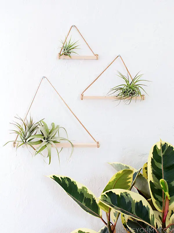 DIY Air Plant Hangers