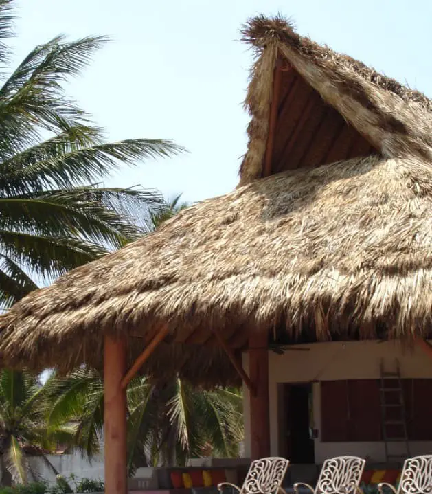 Traditional Palapa