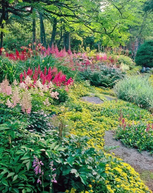 Curved Garden Beds are a great way to add some interest to your garden.