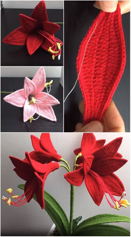 Amaryllis Flower Bouquet Crochet Free Pattern