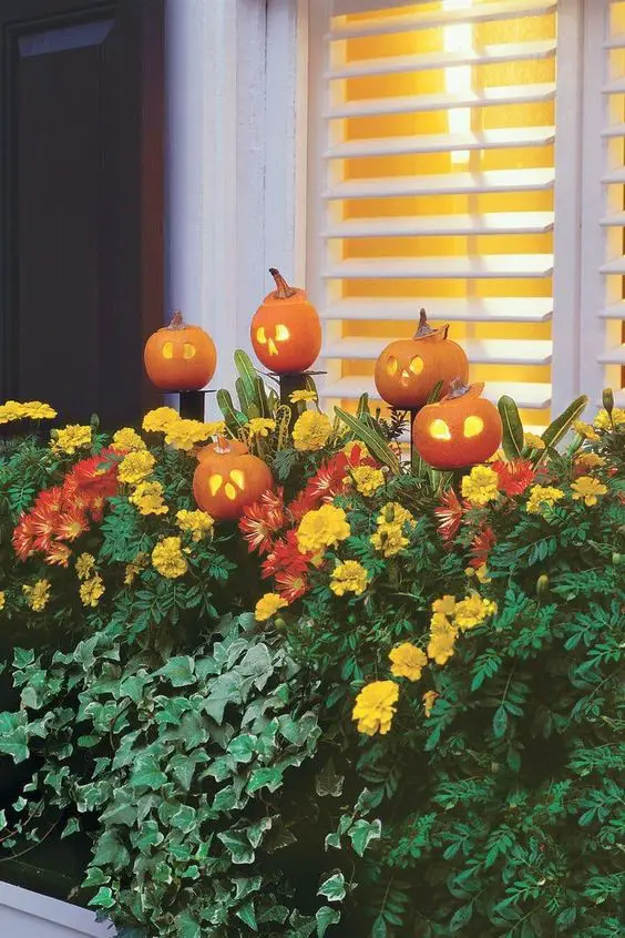 #6. Add some autumnal curb appeal