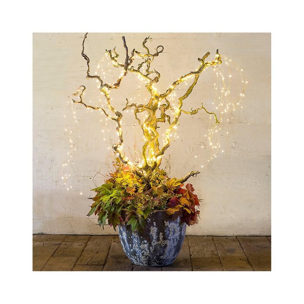 Potted plant with lights