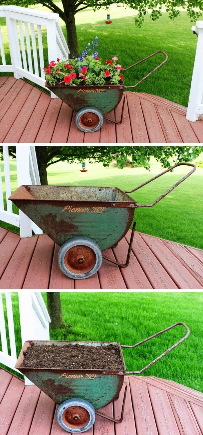 Small wheelbarrow with red roses