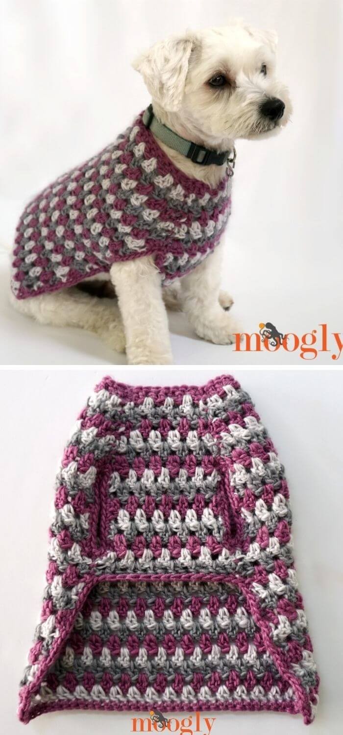 Well-dressed dog coat