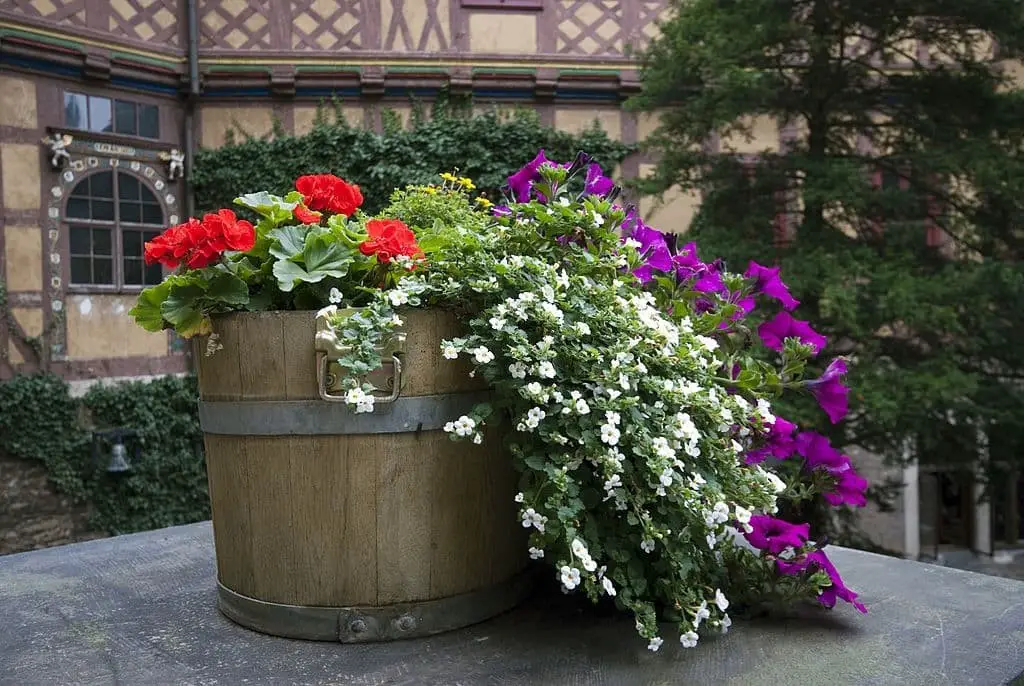 Barrel flower bed