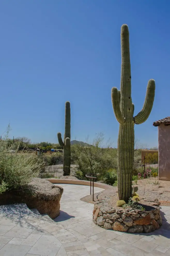 More Arizona backyard landscaping ideas