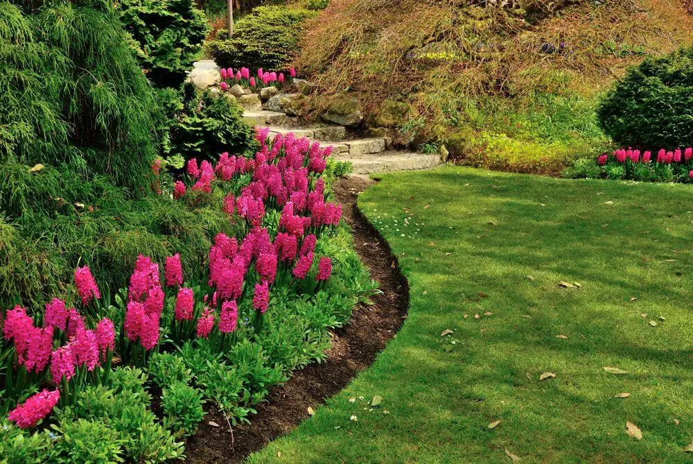 Lettered Stone Garden Path