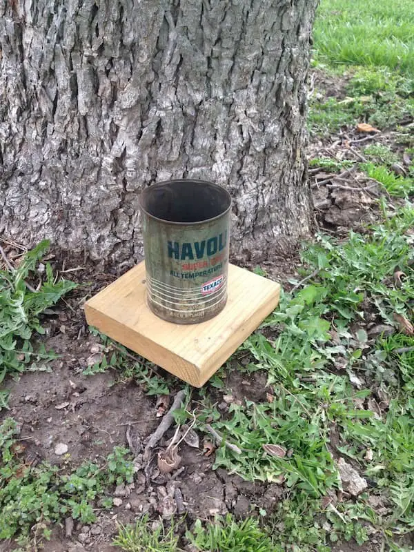 Oil can squirrel feeder