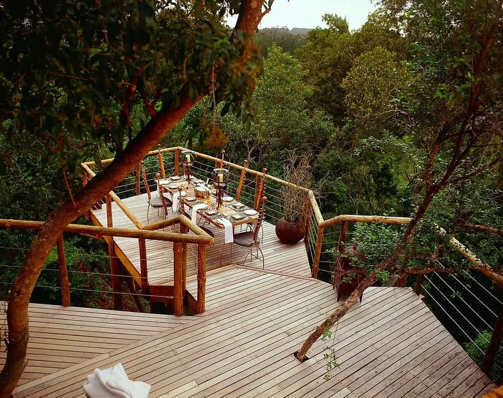 Treetop Platform