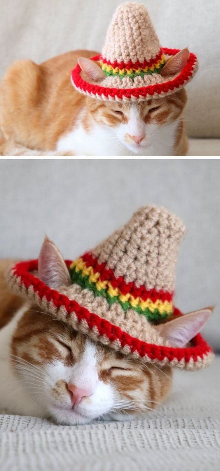 Cat sombrero crochet hat