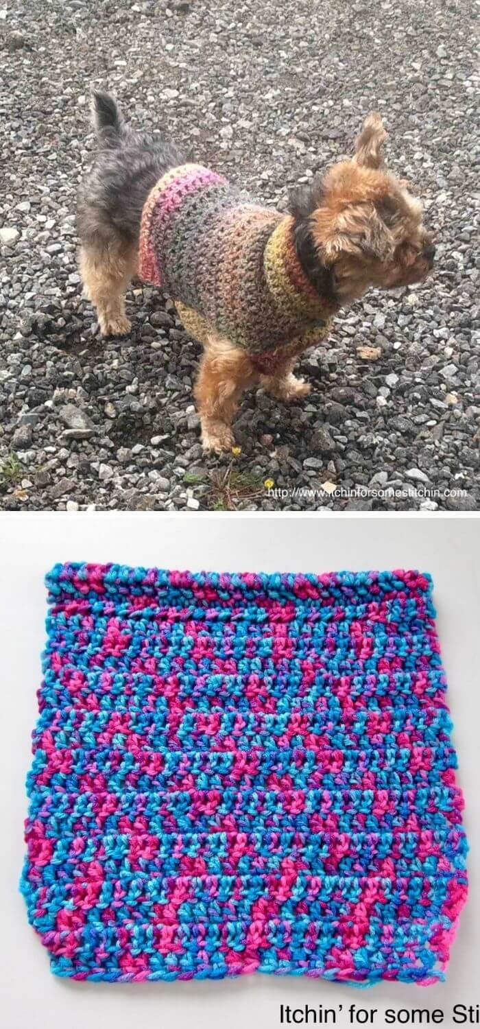 Small dog crochet sweater