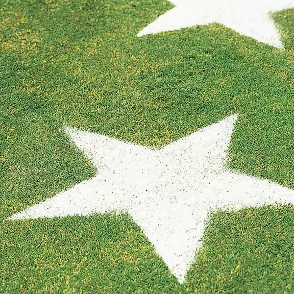 Lawn stars