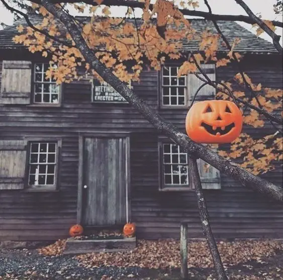 35+ Vintage Halloween Decorations