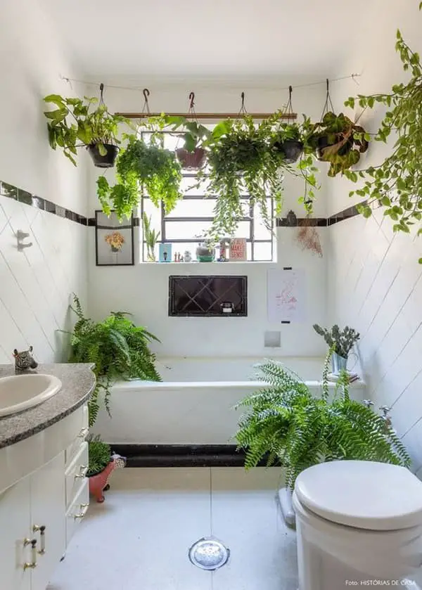 Garden in the Bathroom