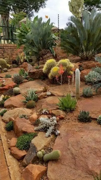 More desert landscaping ideas