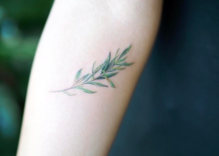 #5. The fore-arm olive branch tattoo.