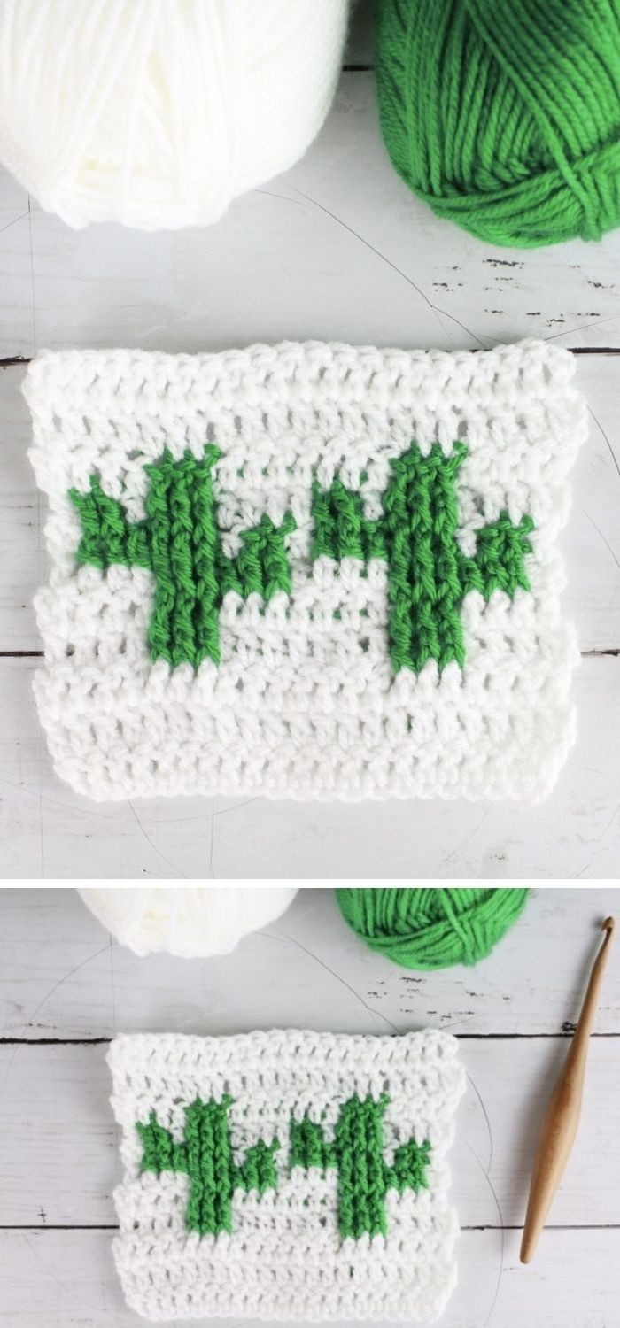 Cactus crochet tapestry pattern