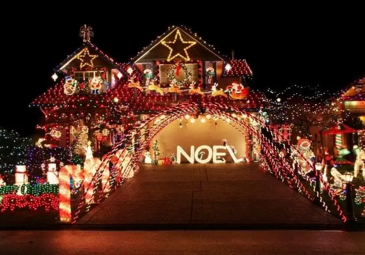 Driveway Christmas light ideas