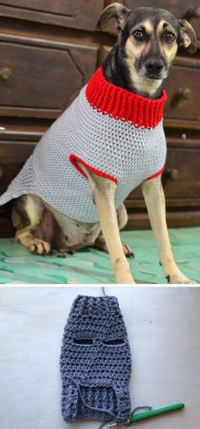 Doggy sweater