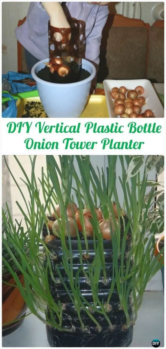 Vertical Plastic Bottle Onion Tower