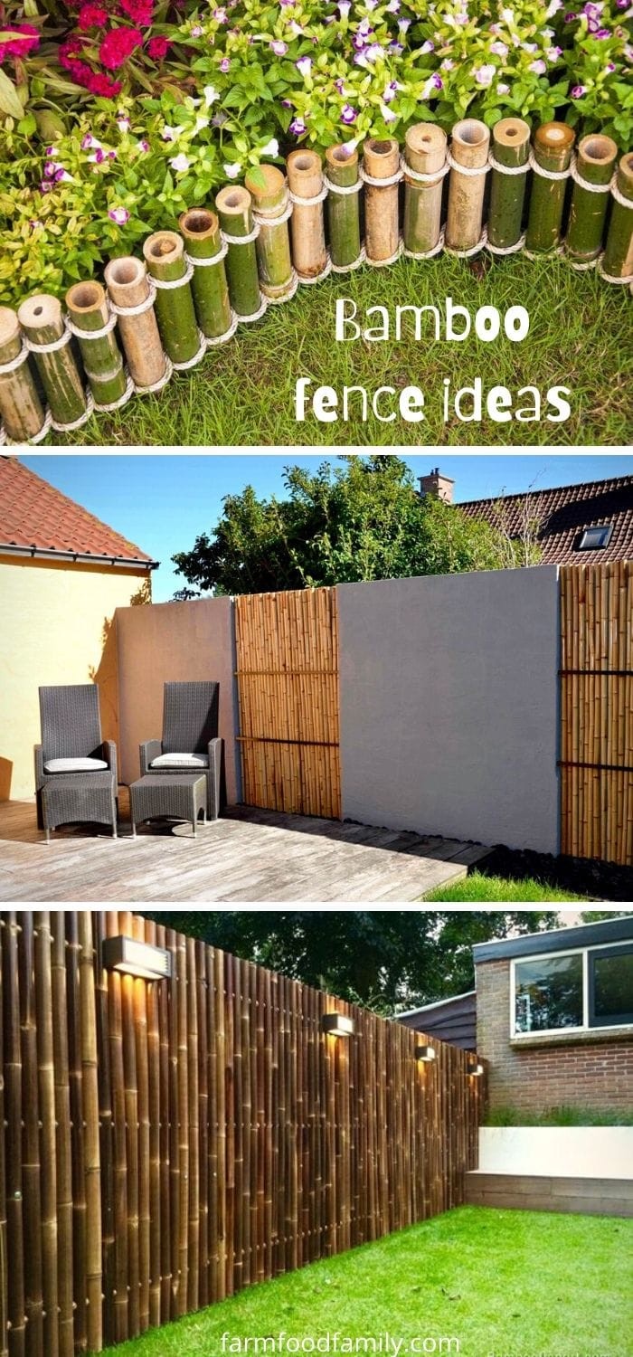 Bamboo fence