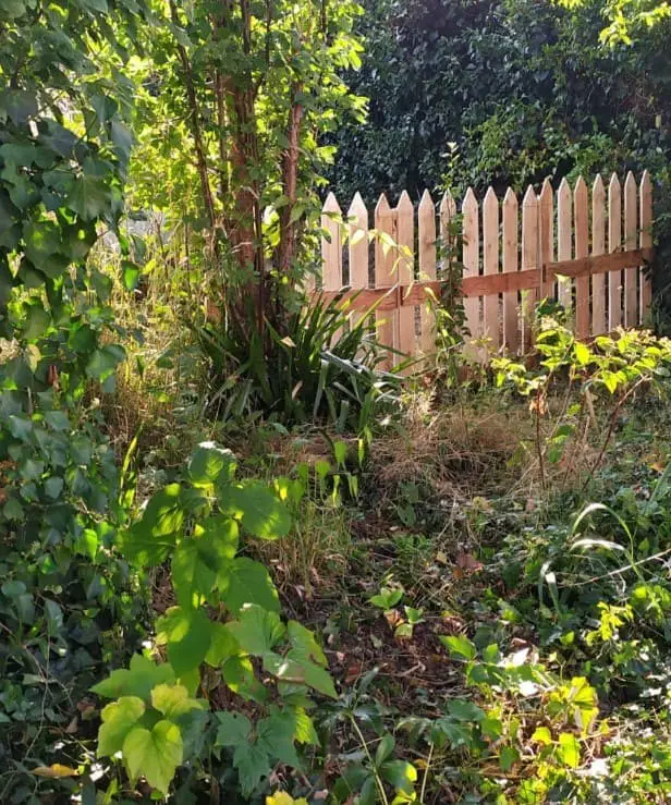 Tips for Maintaining Your Pallet Fence