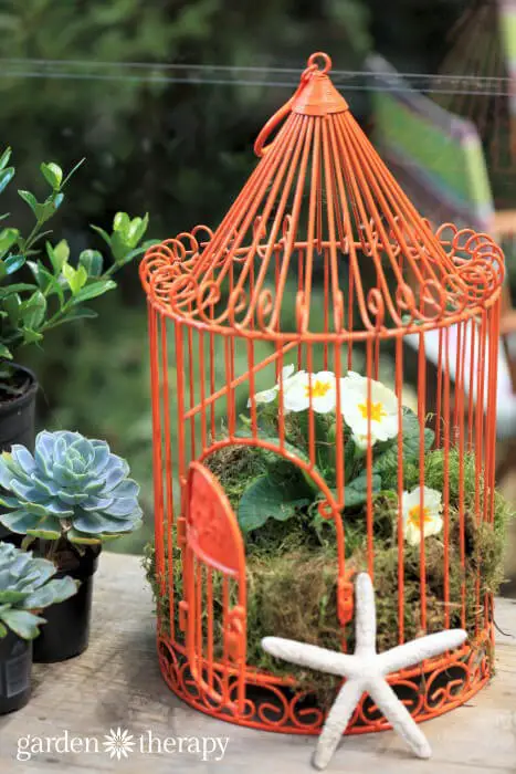 Bird Cage Planters from the blue greenhouse