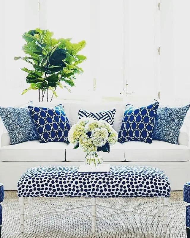 White and Blue pattern