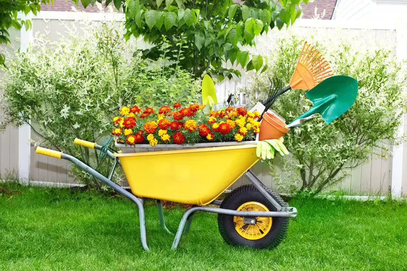 Colorful wheelbarrow planter