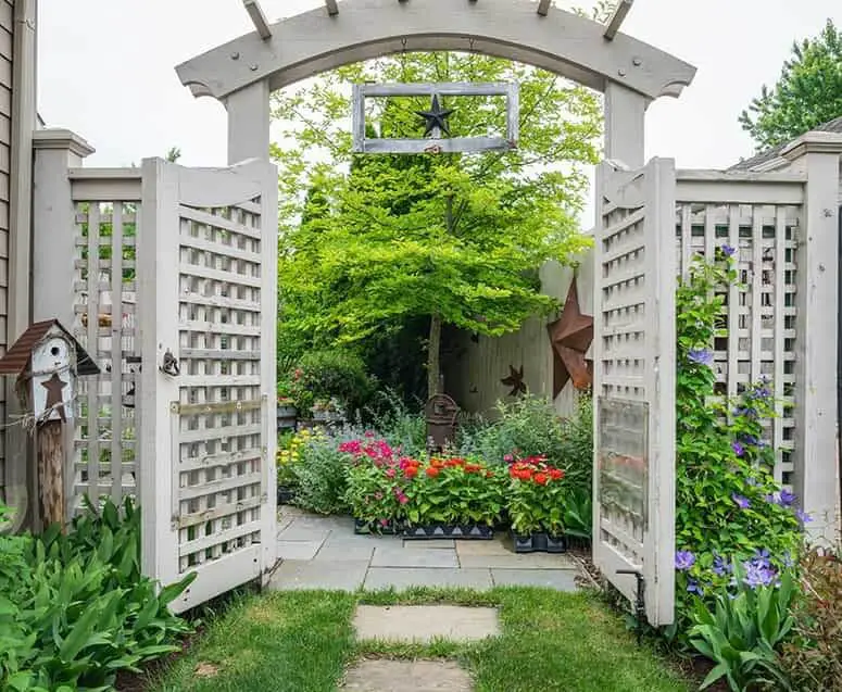 Vine-free, high-gated lattice fence