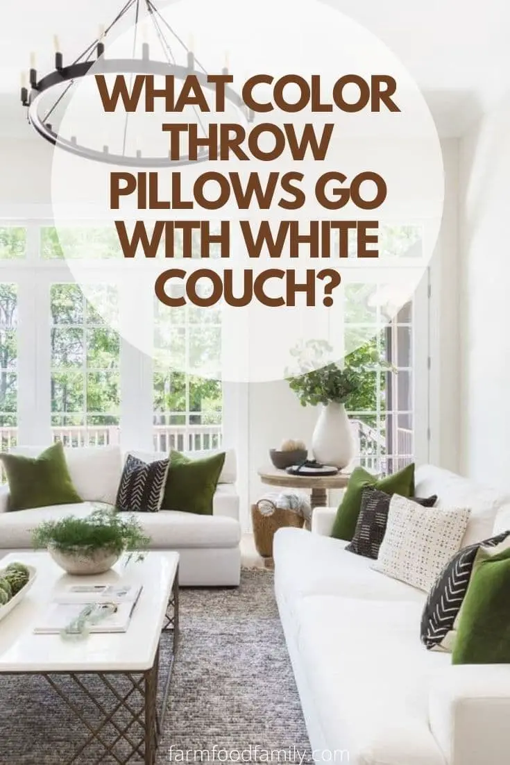 What Color Throw Pillows Go With White Couch? (20 Ideas)