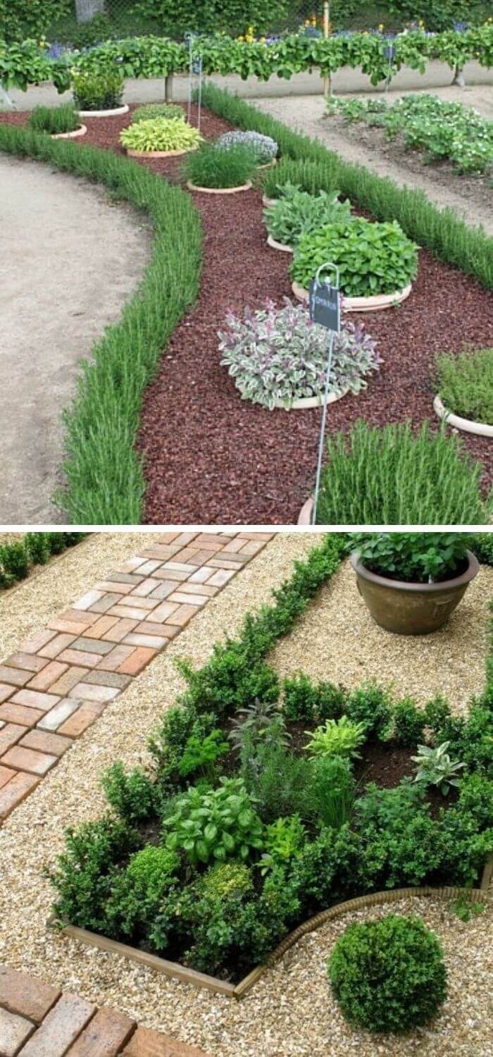 Living tree plant garden edging