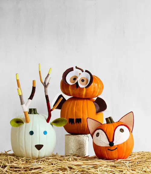 Deer, Fox, & Owl Pumpkins