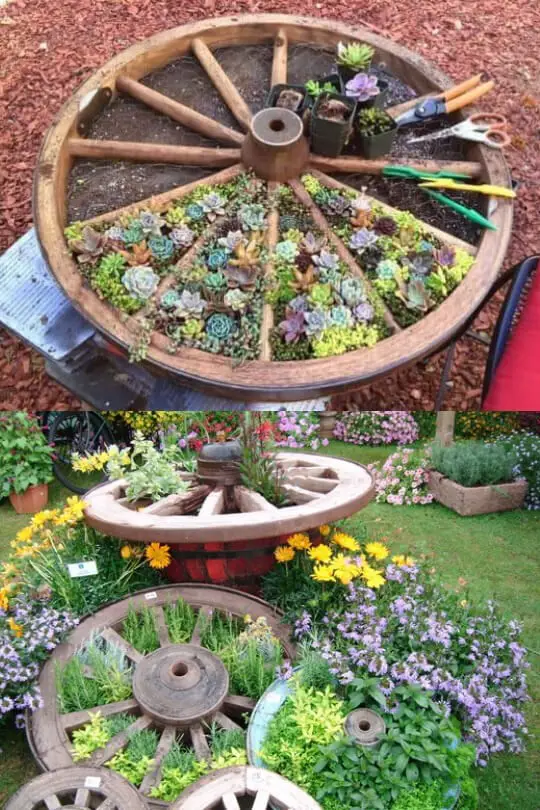 Wheel herb garden